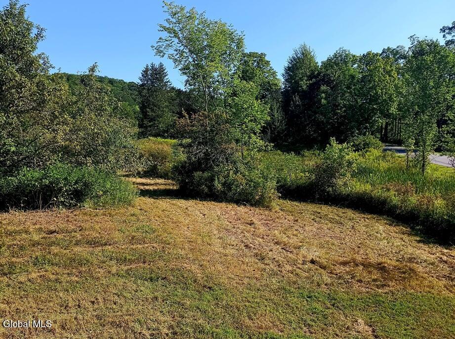1585 Carlton Road Whitehall NY 12887