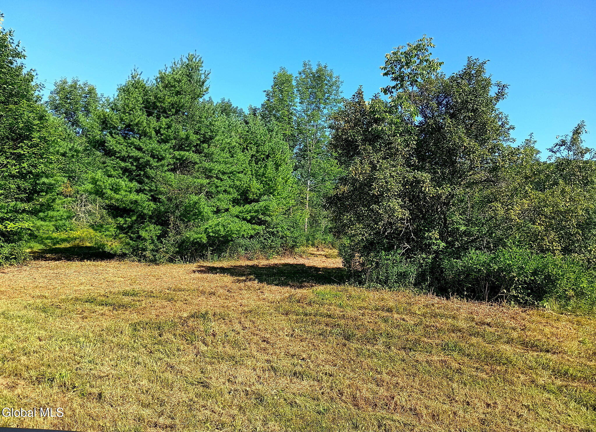 1585 Carlton Road Whitehall NY 12887