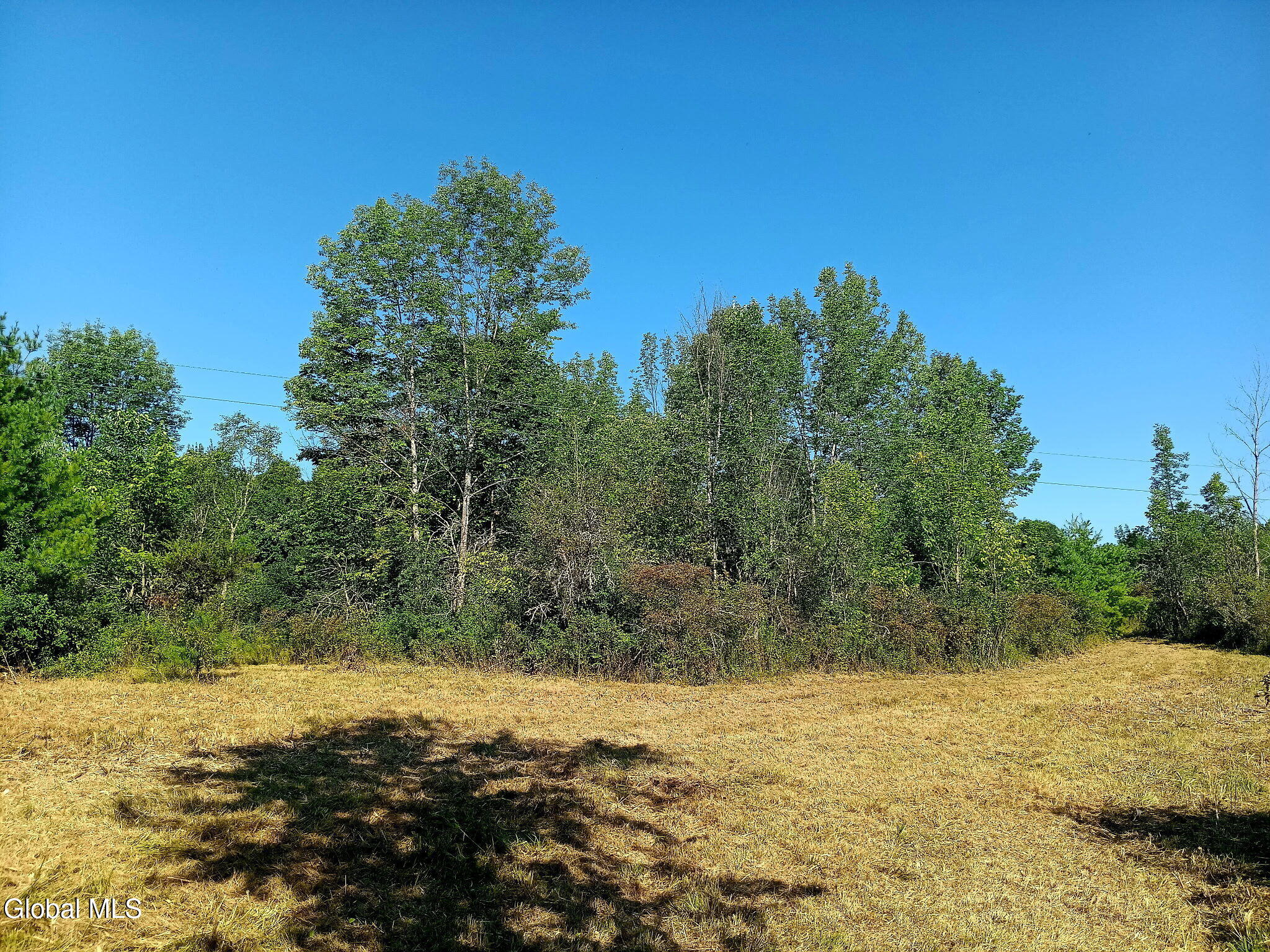 1585 Carlton Road Whitehall NY 12887
