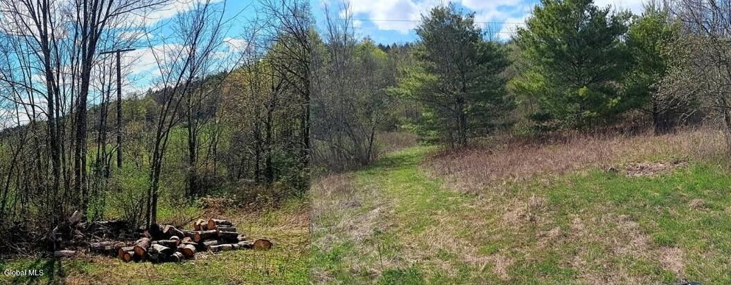 1585 Carlton Road Whitehall NY 12887