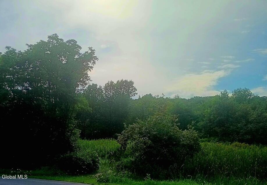 1585 Carlton Road Whitehall NY 12887
