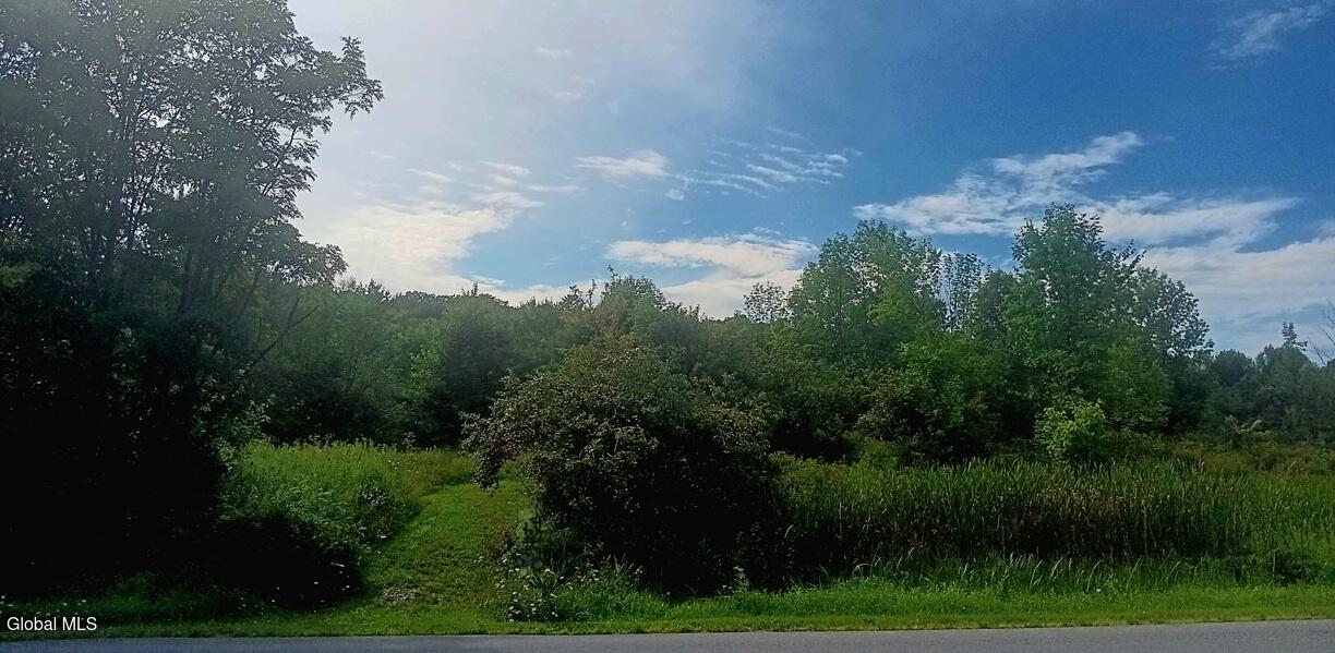 1585 Carlton Road Whitehall NY 12887