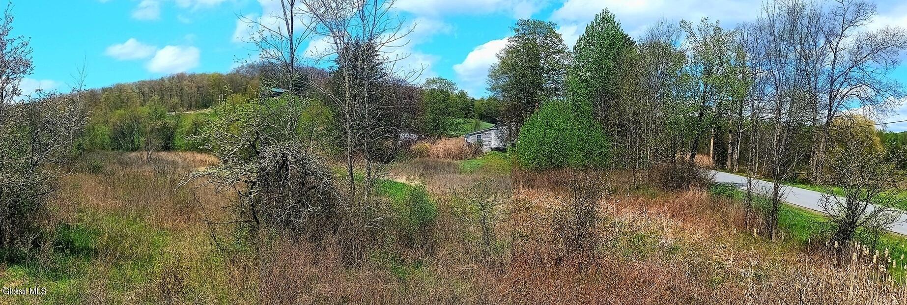 1585 Carlton Road Whitehall NY 12887