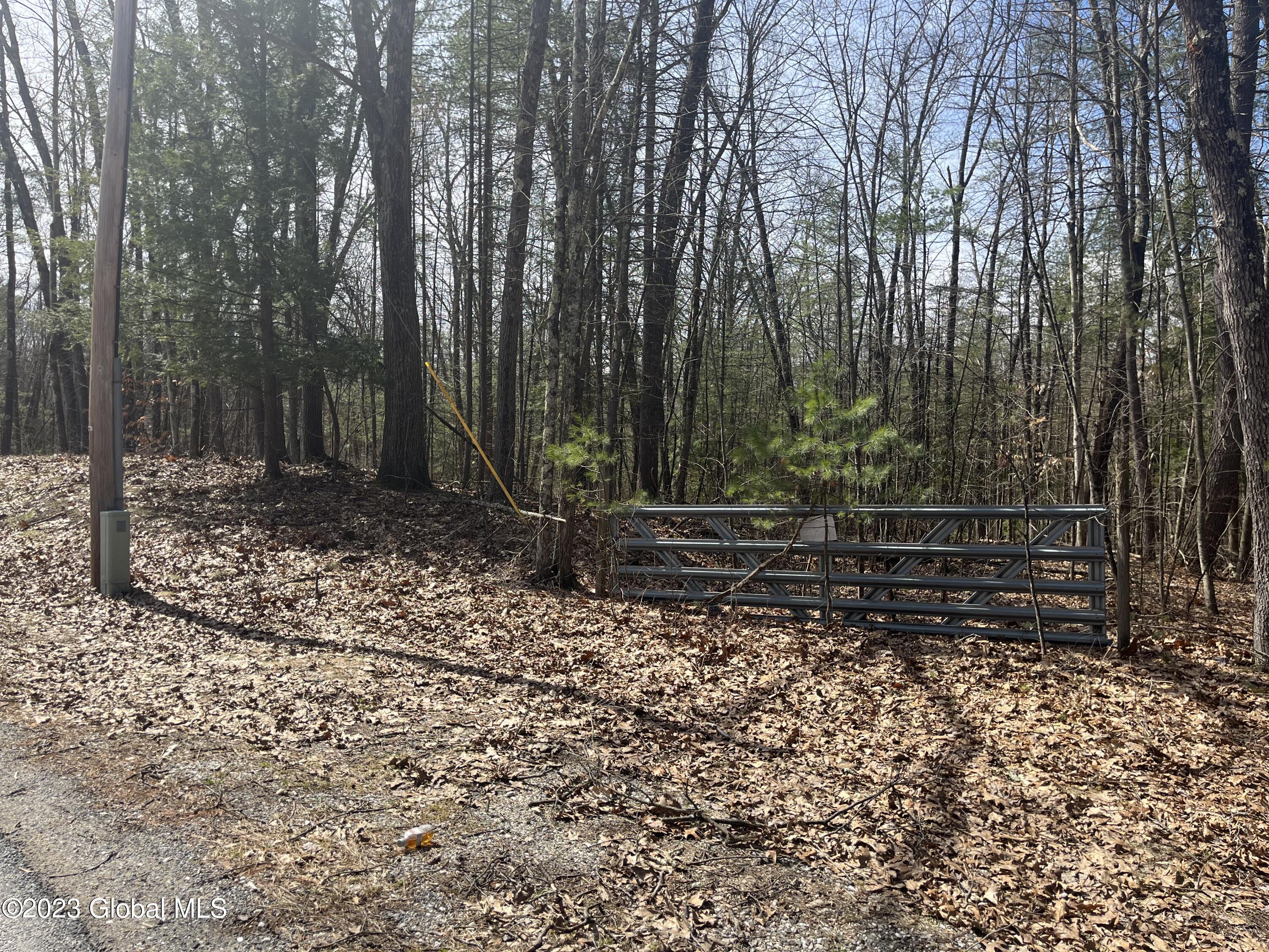 L19.22 Homestead Road Saratoga Springs NY 12866