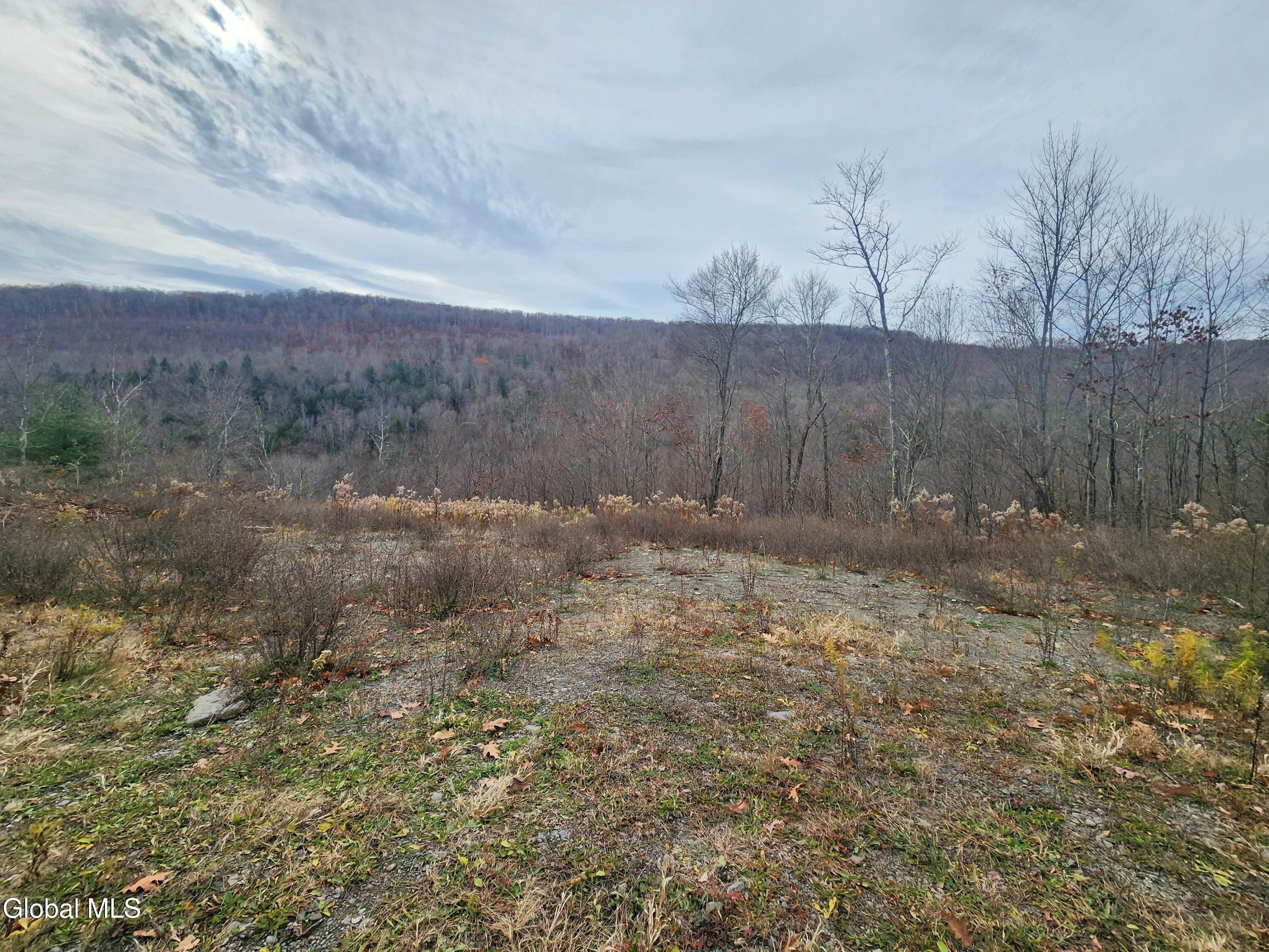 143 Rebel Ridge Road Jefferson NY 12093