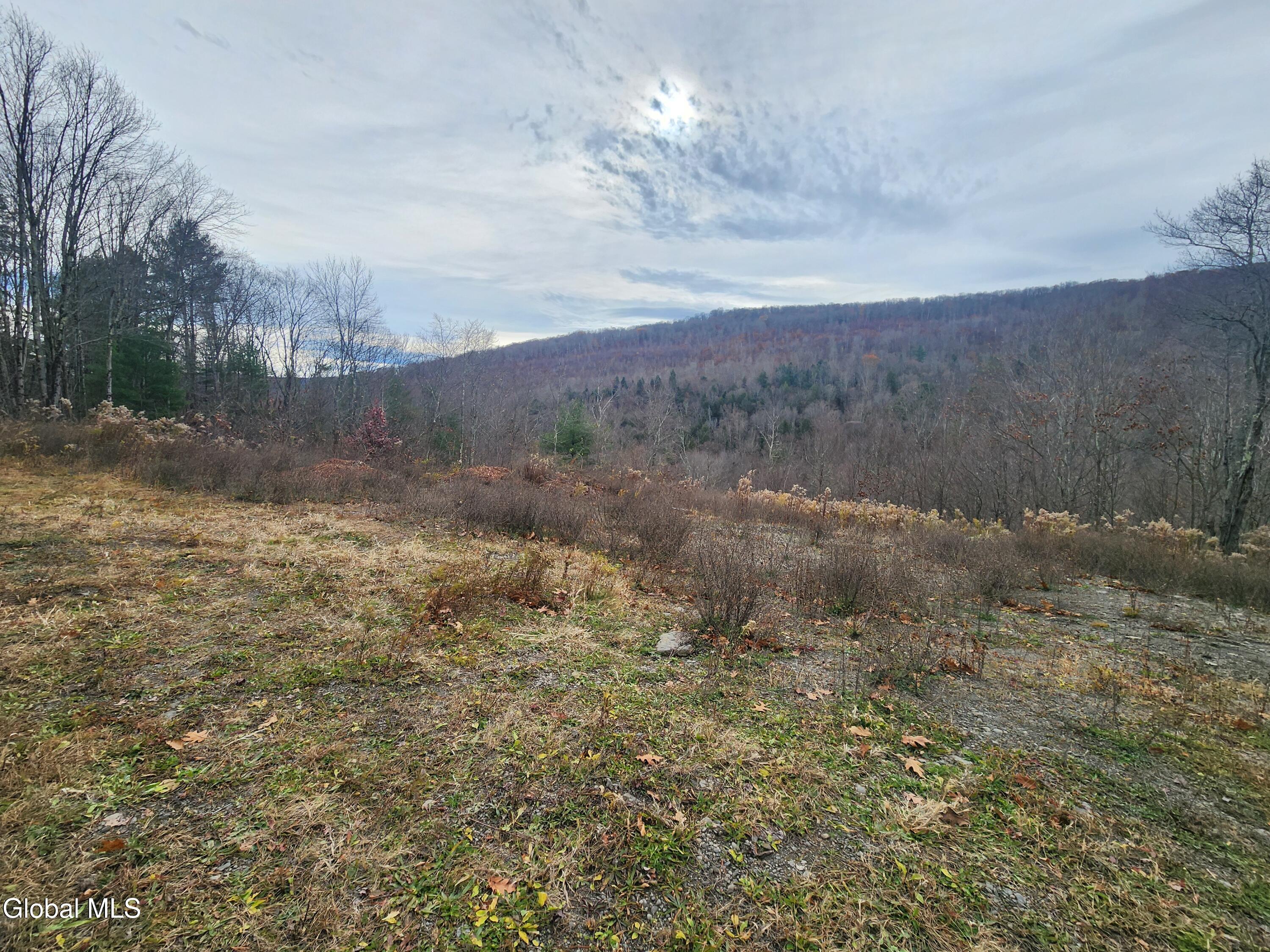 143 Rebel Ridge Road Jefferson NY 12093