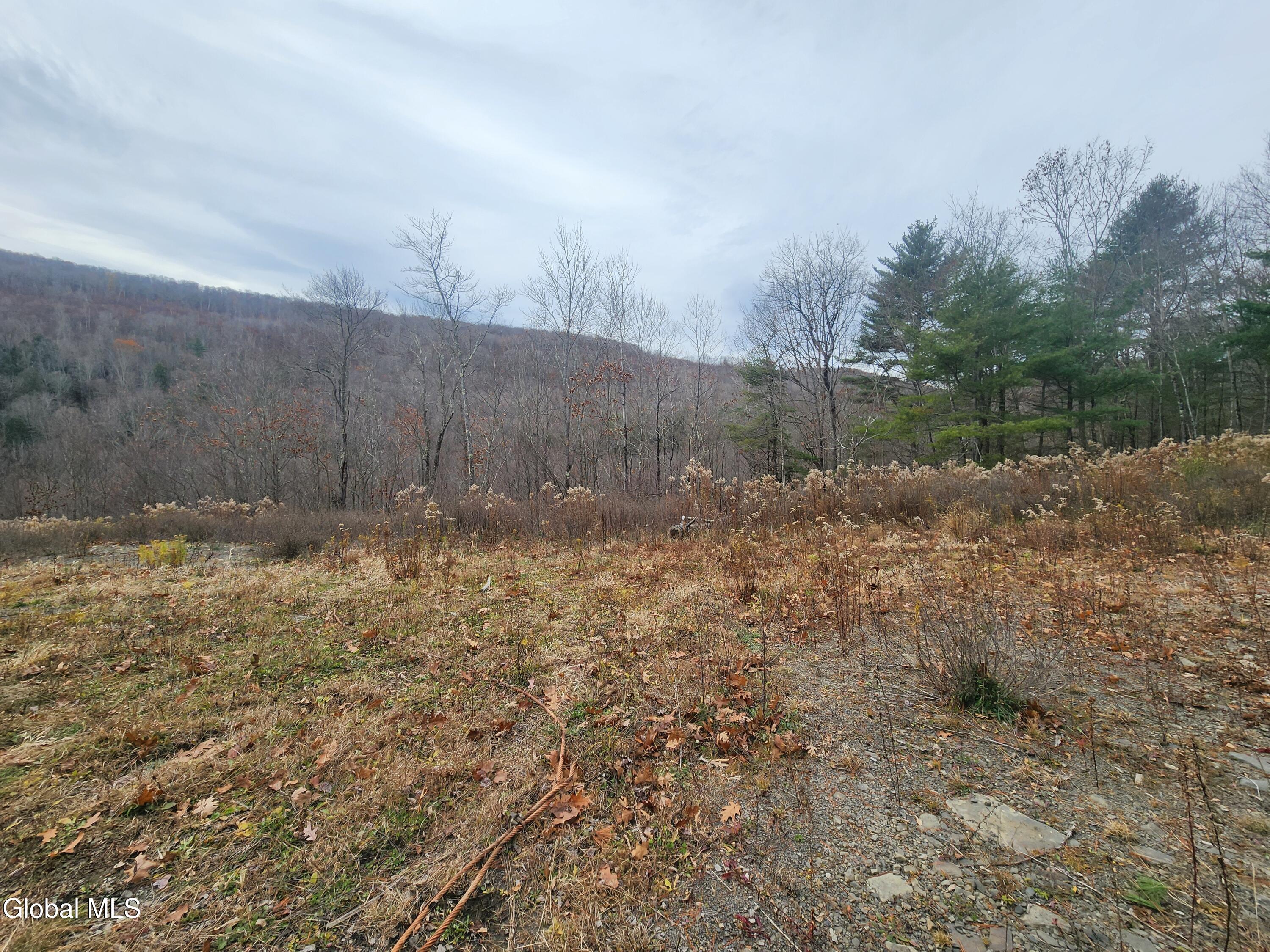 143 Rebel Ridge Road Jefferson NY 12093