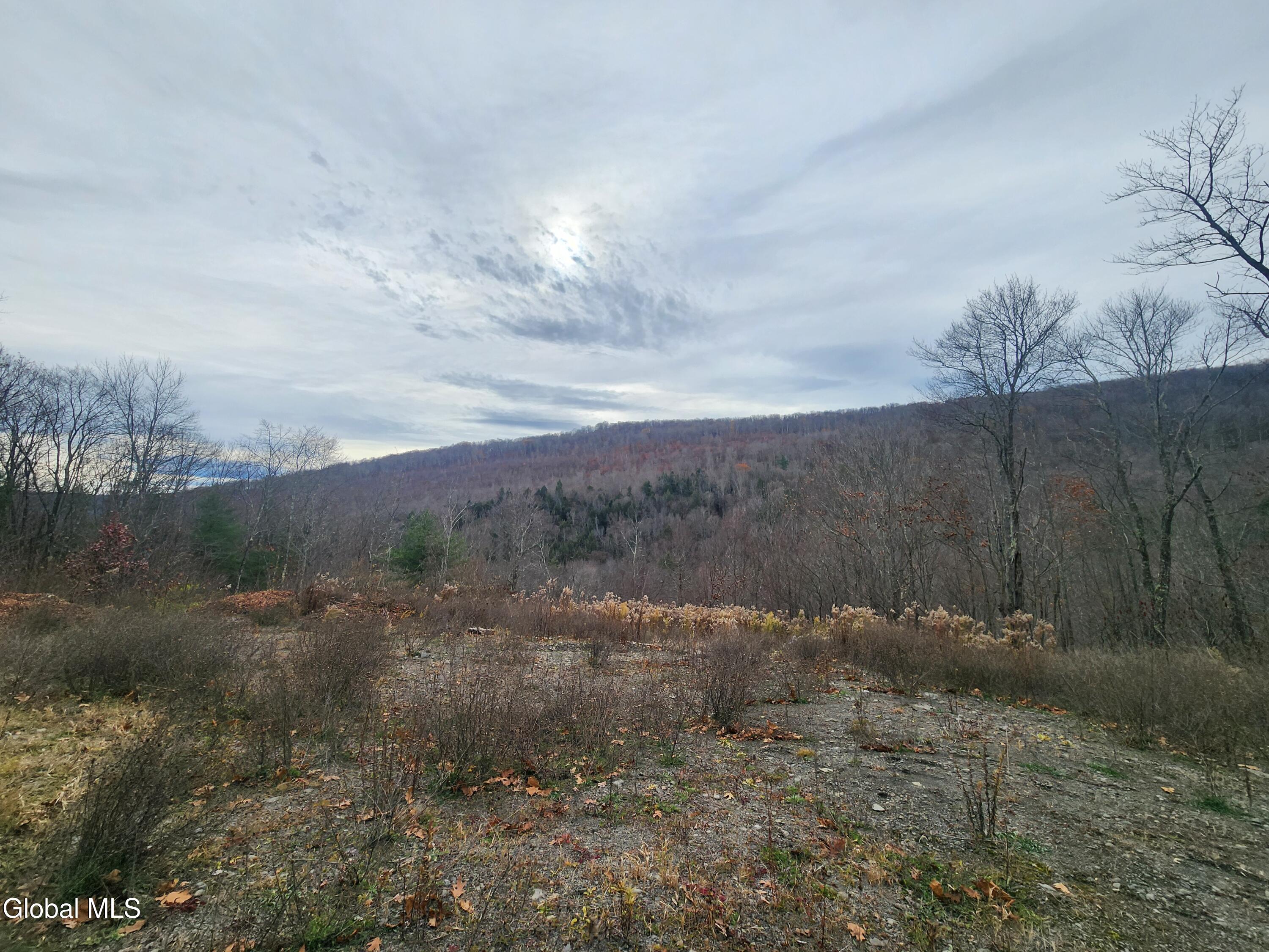 143 Rebel Ridge Road Jefferson NY 12093