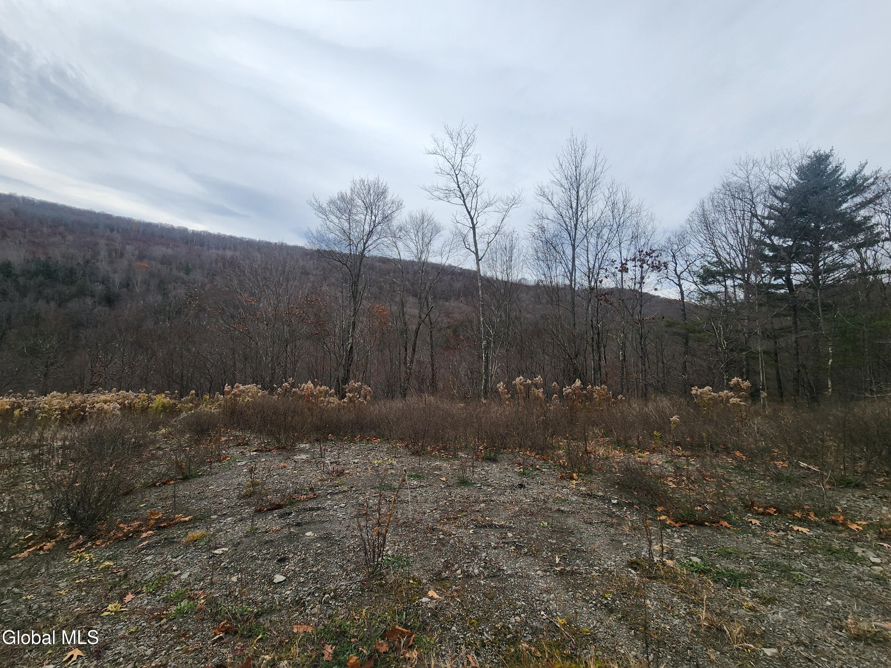 143 Rebel Ridge Road Jefferson NY 12093