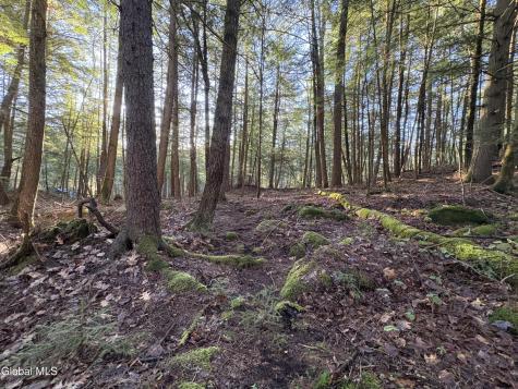 L46 Trout Falls Road Bolton Landing NY 12814