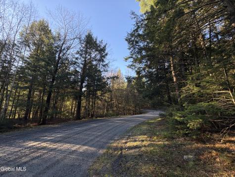 L46 Trout Falls Road Bolton Landing NY 12814