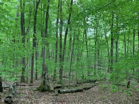 L46 Trout Falls Road Bolton Landing NY 12814
