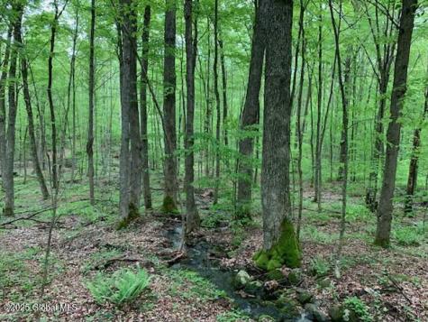 L46 Trout Falls Road Bolton Landing NY 12814