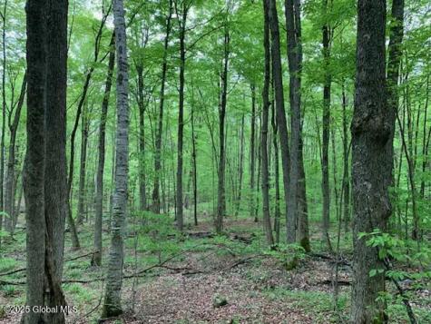 L46 Trout Falls Road Bolton Landing NY 12814