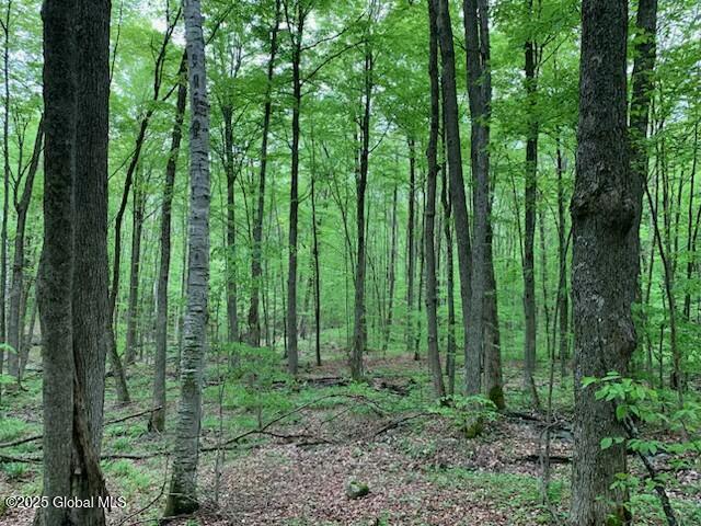 L46 Trout Falls Road Bolton Landing NY 12814