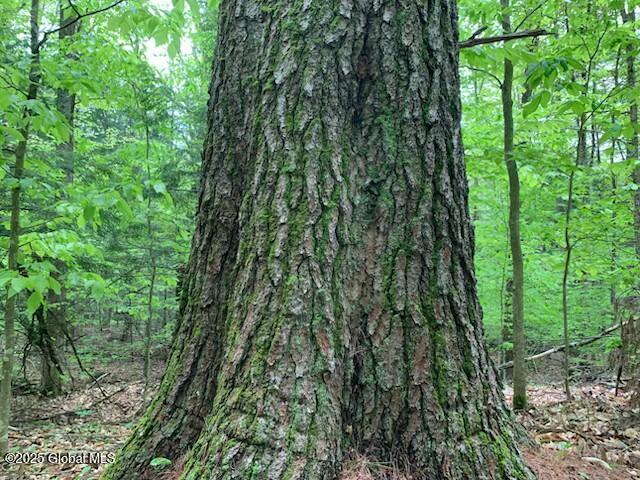 L46 Trout Falls Road Bolton Landing NY 12814