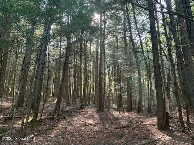 L46 Trout Falls Road Bolton Landing NY 12814