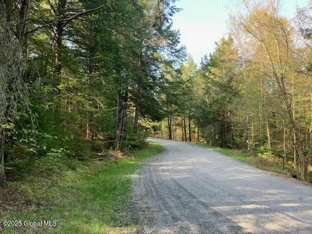 L46 Trout Falls Road Bolton Landing NY 12814