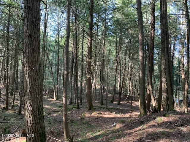 L46 Trout Falls Road Bolton Landing NY 12814