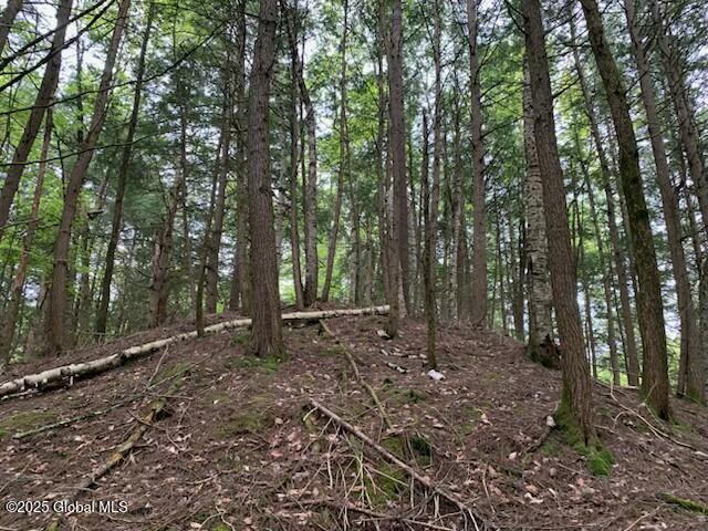 L46 Trout Falls Road Bolton Landing NY 12814