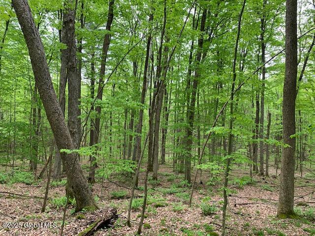 L46 Trout Falls Road Bolton Landing NY 12814