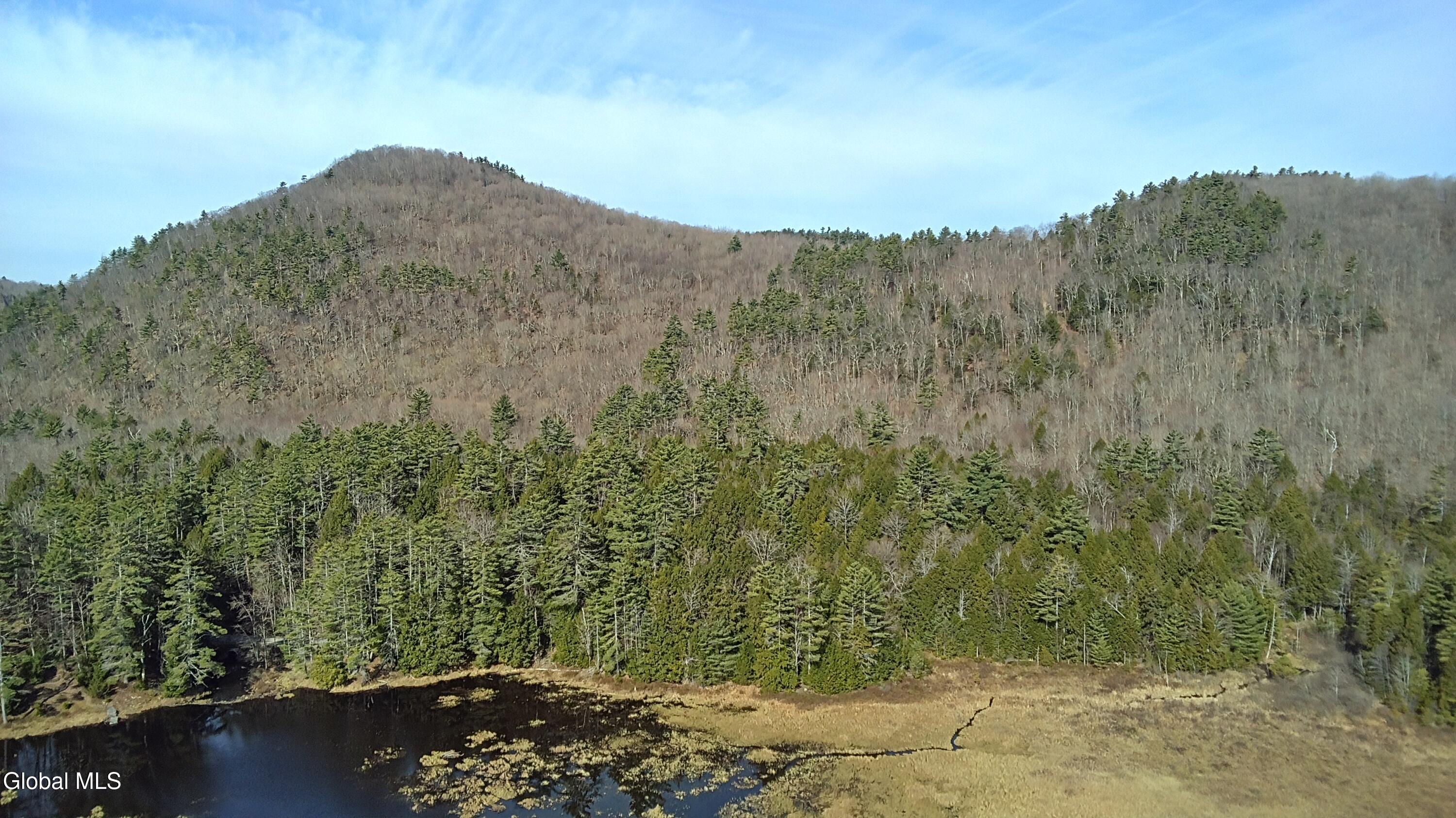 L46 Trout Falls Road Bolton Landing NY 12814