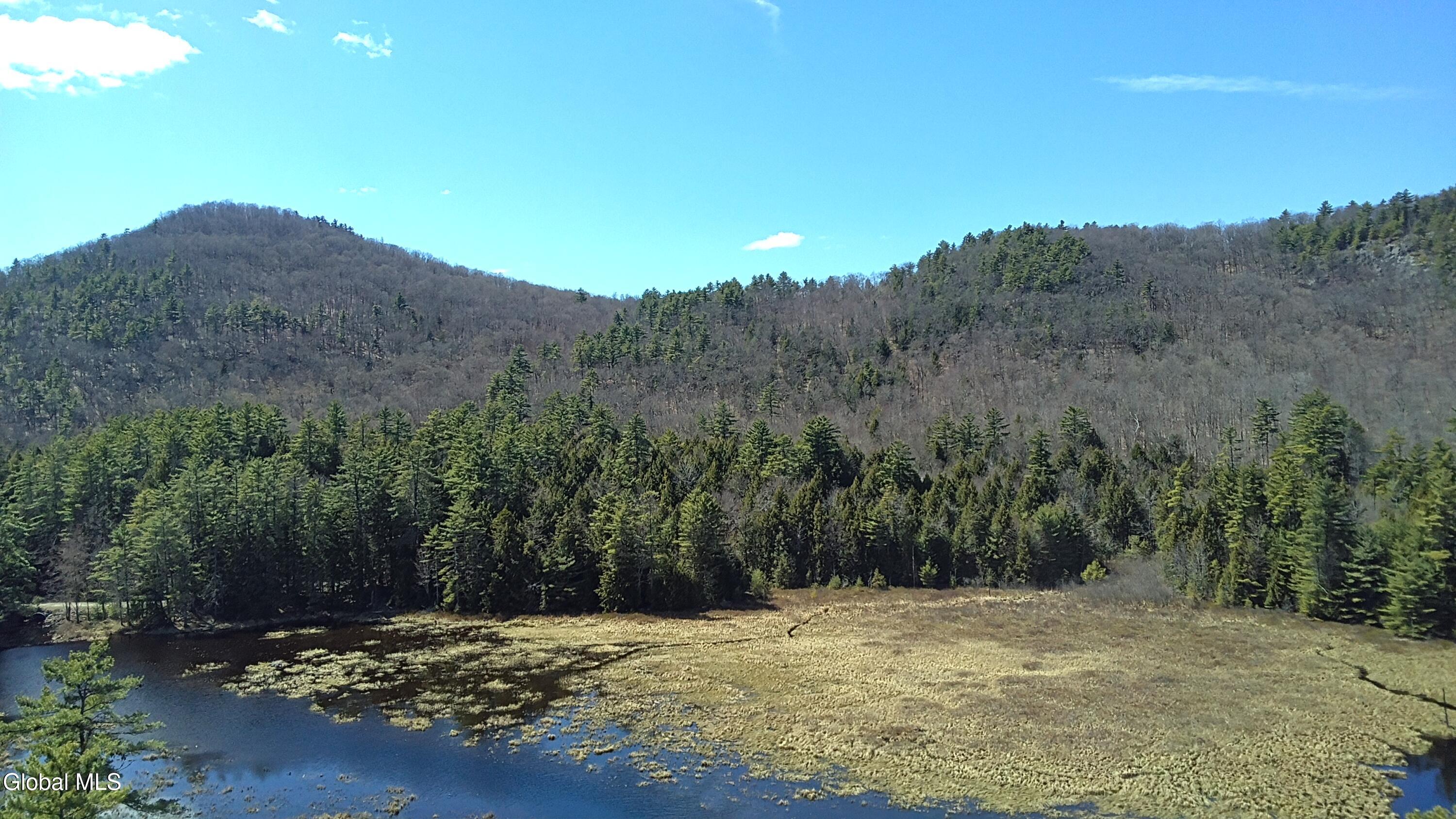 L46 Trout Falls Road Bolton Landing NY 12814
