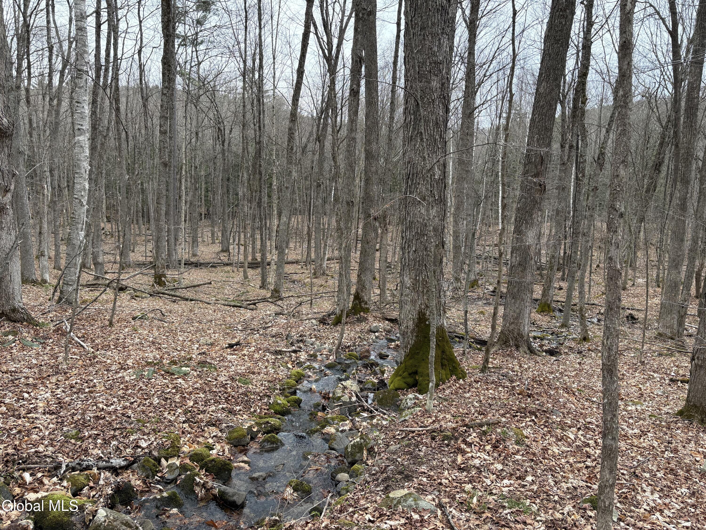 L46 Trout Falls Road Bolton Landing NY 12814