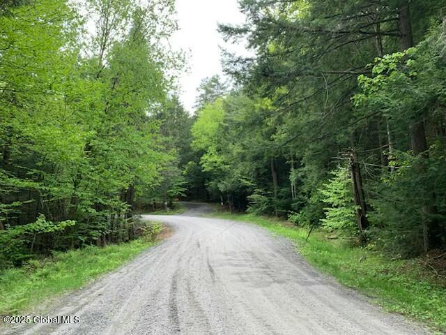 L46 Trout Falls Road Bolton Landing NY 12814