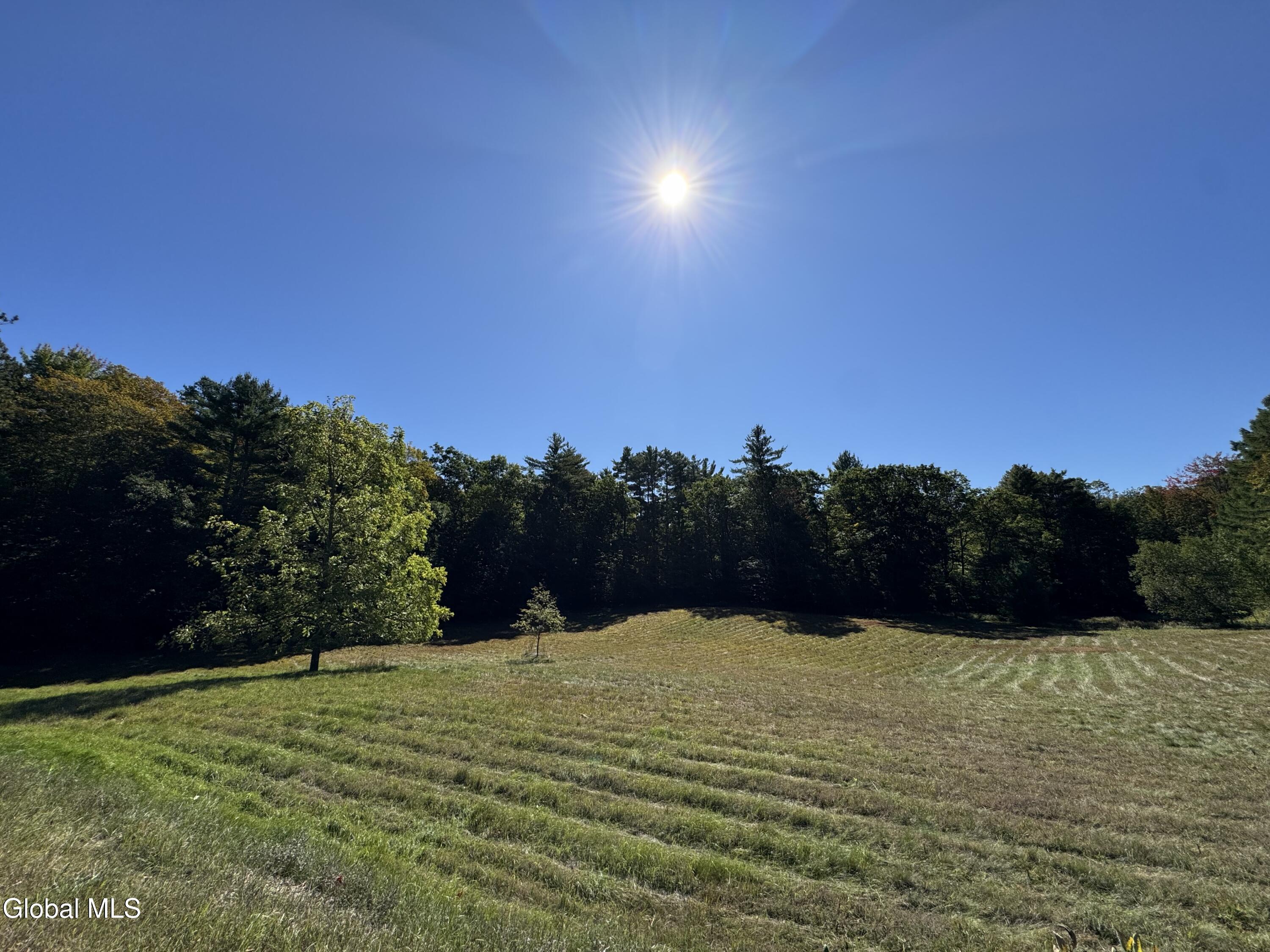 71 Lanfear Road Stony Creek NY 12878