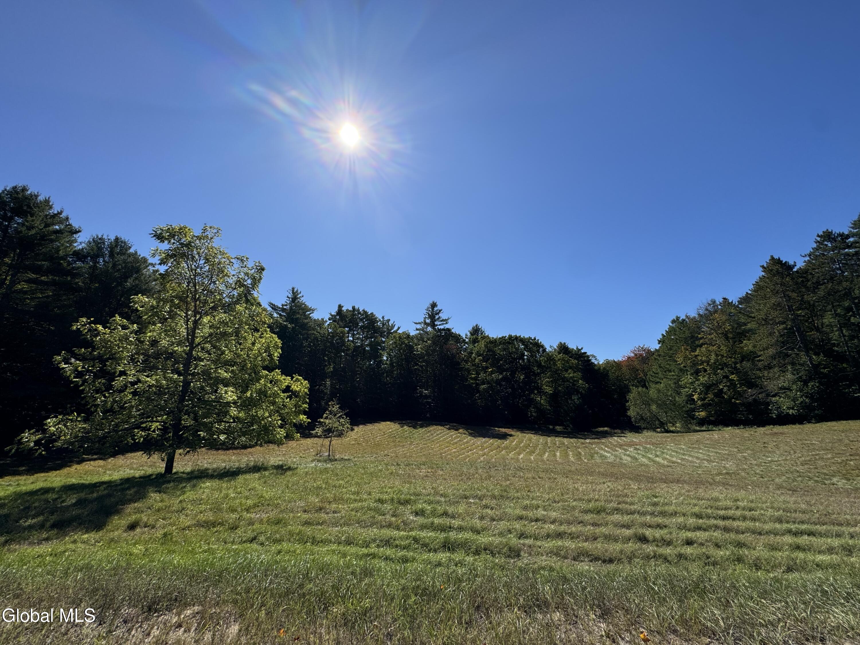 71 Lanfear Road Stony Creek NY 12878