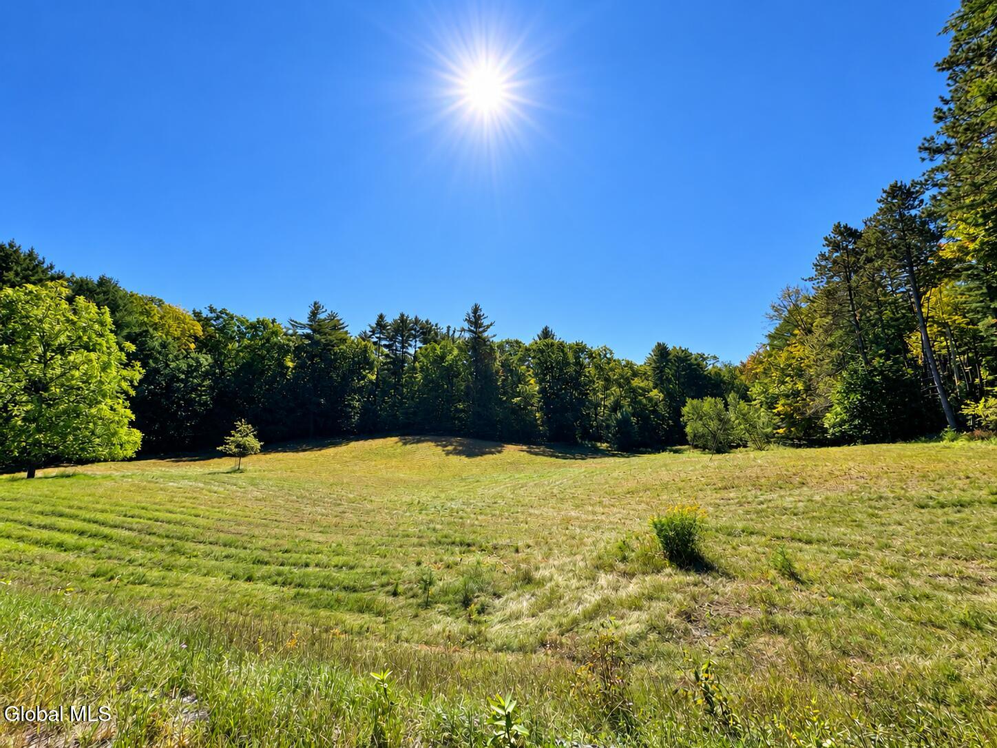 71 Lanfear Road Stony Creek NY 12878