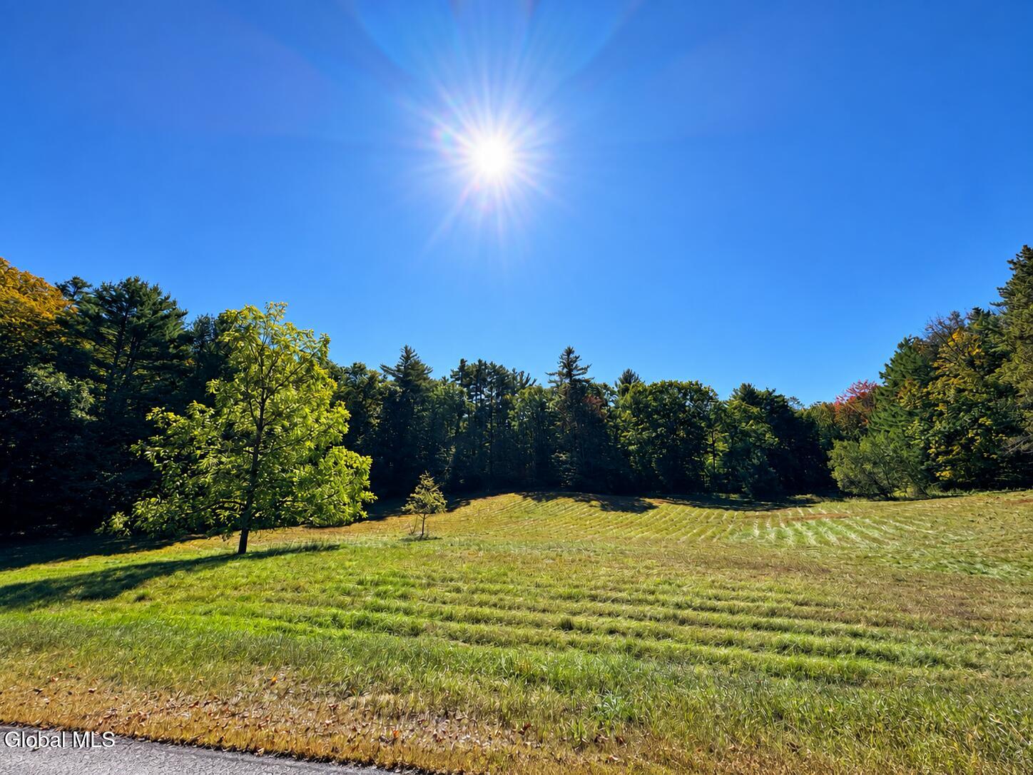 71 Lanfear Road Stony Creek NY 12878