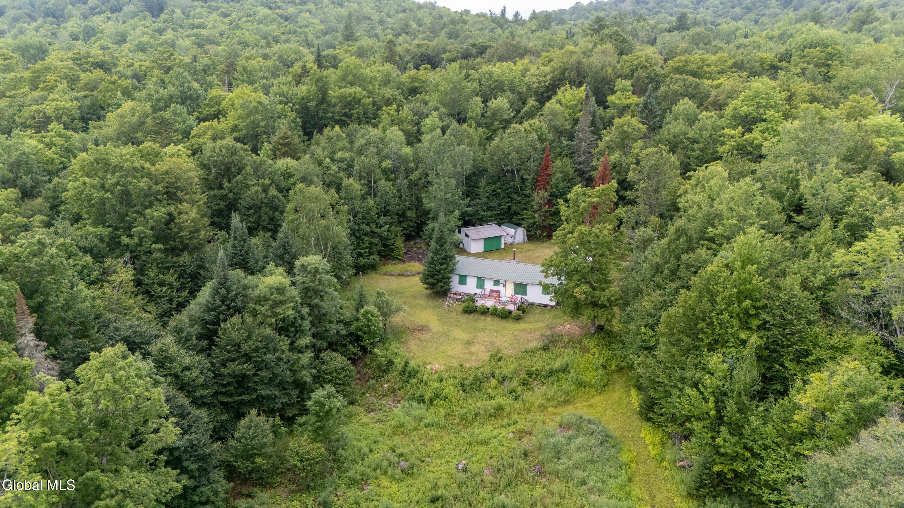 724 Bartman Road Bakers Mills NY 12811