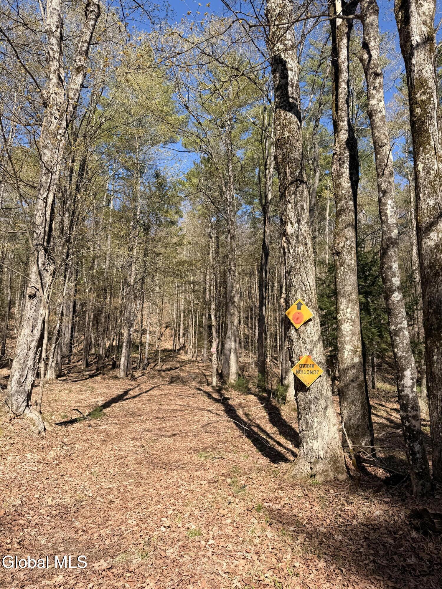 0 River Road Thurman NY 12885