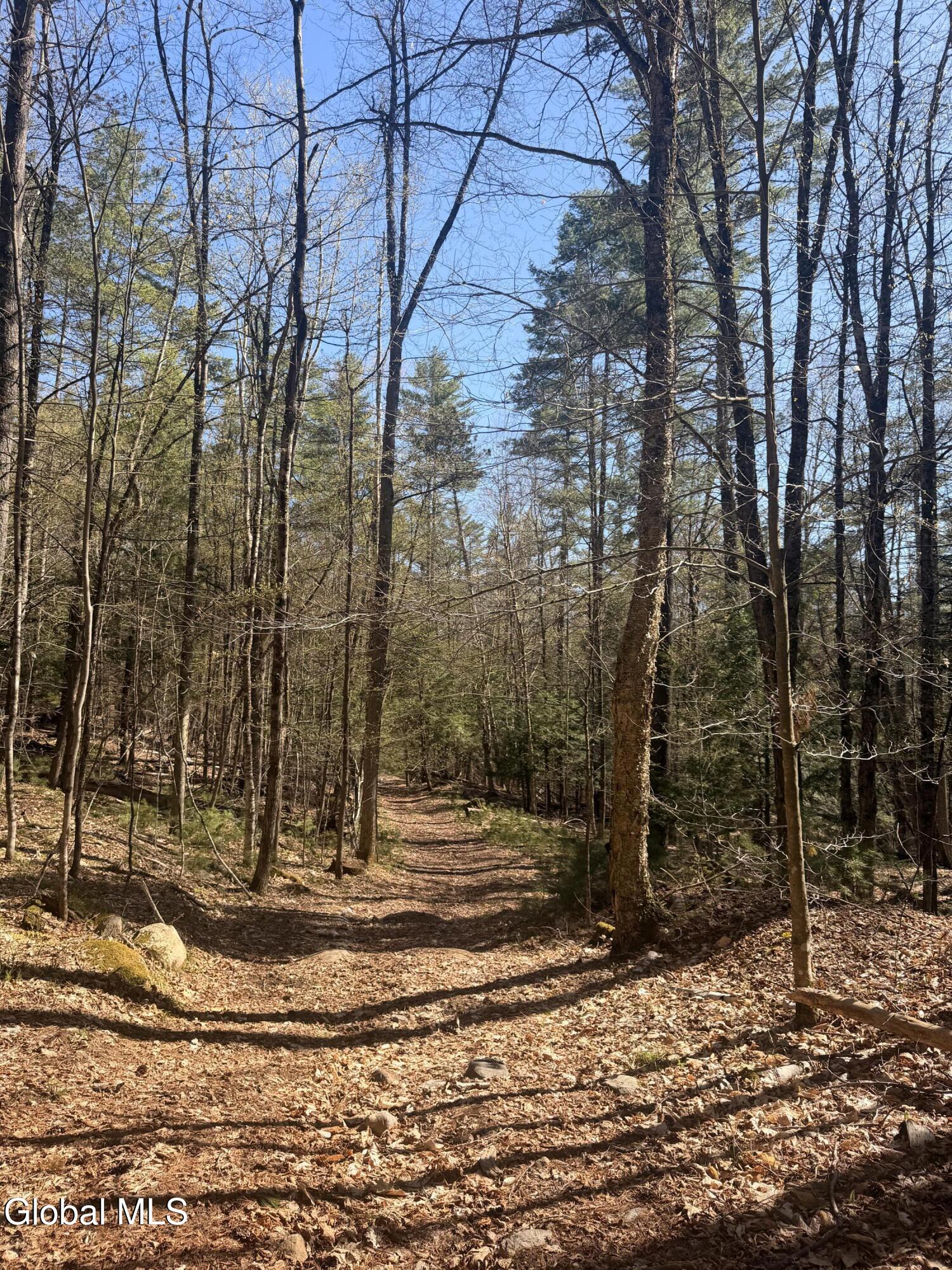 0 River Road Thurman NY 12885