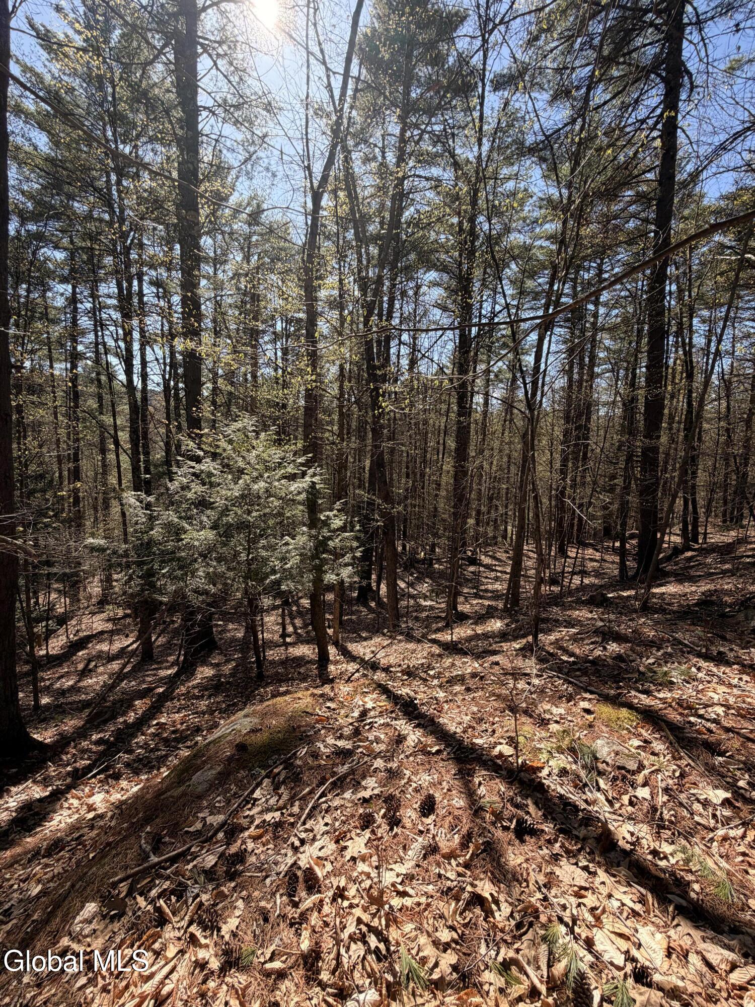 0 River Road Thurman NY 12885