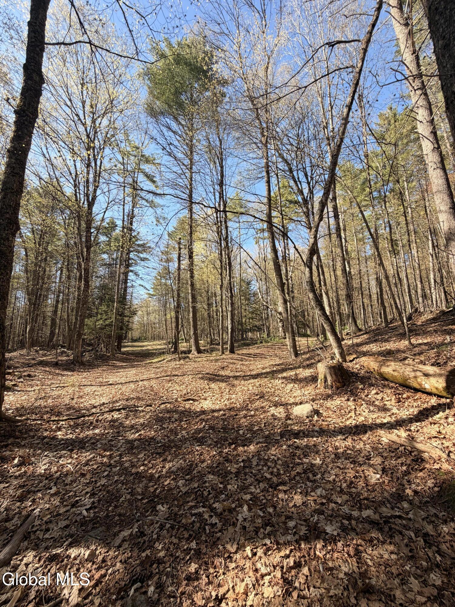 0 River Road Thurman NY 12885