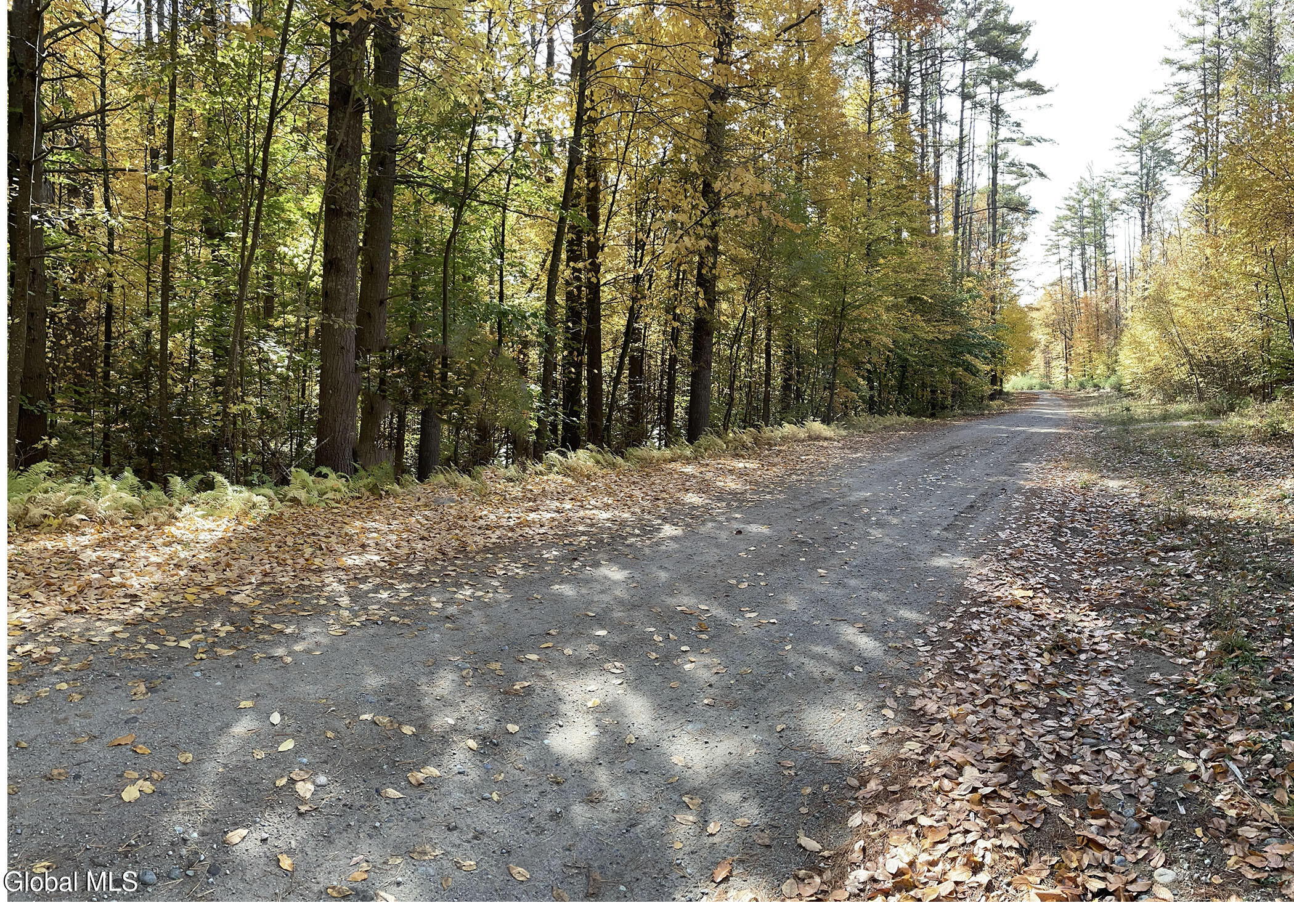 37 Blue Bay Road Chestertown NY 12817