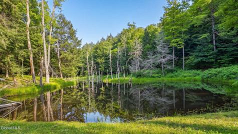 159 Seven Ponds Road Summit NY 12175