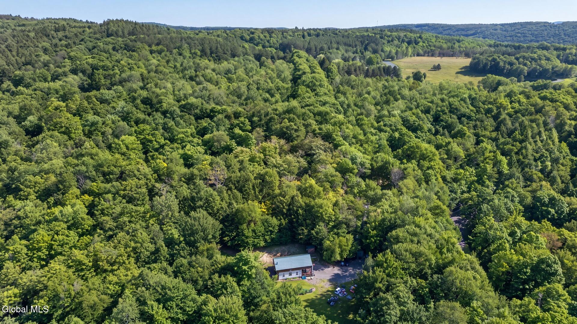 159 Seven Ponds Road Summit NY 12175