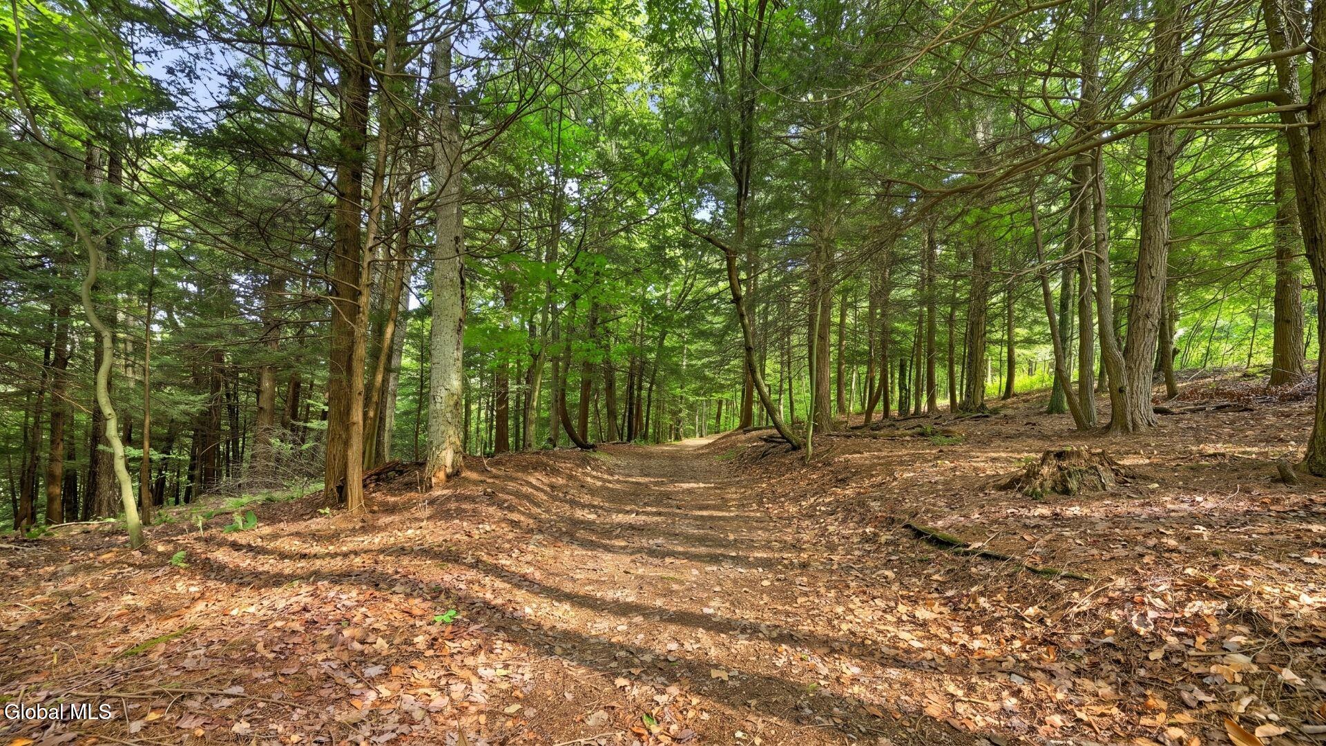 159 Seven Ponds Road Summit NY 12175