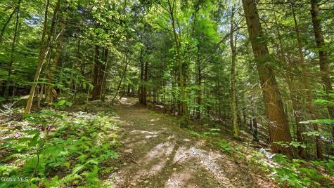 159 Seven Ponds Road Summit NY 12175