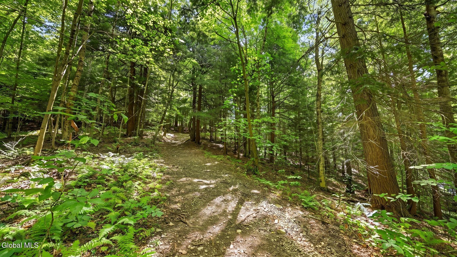 159 Seven Ponds Road Summit NY 12175