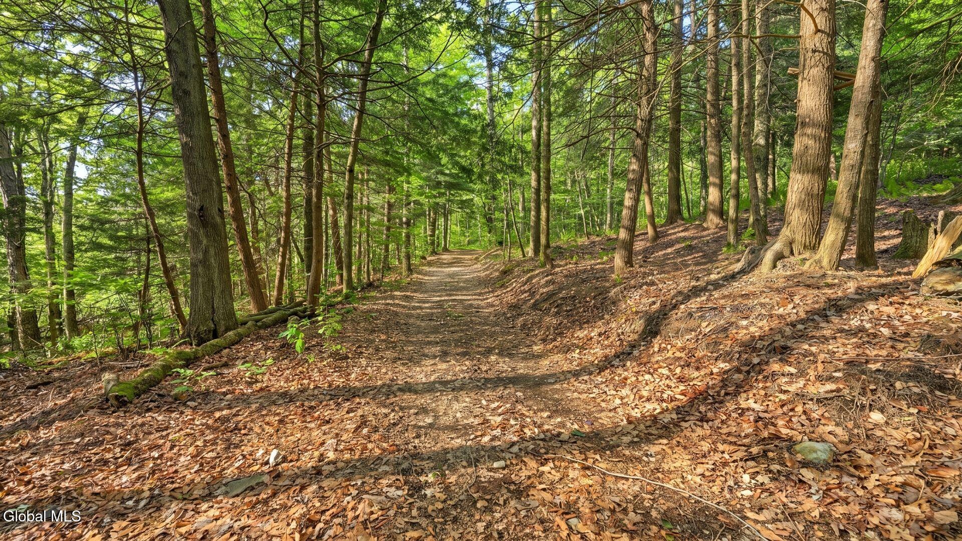 159 Seven Ponds Road Summit NY 12175