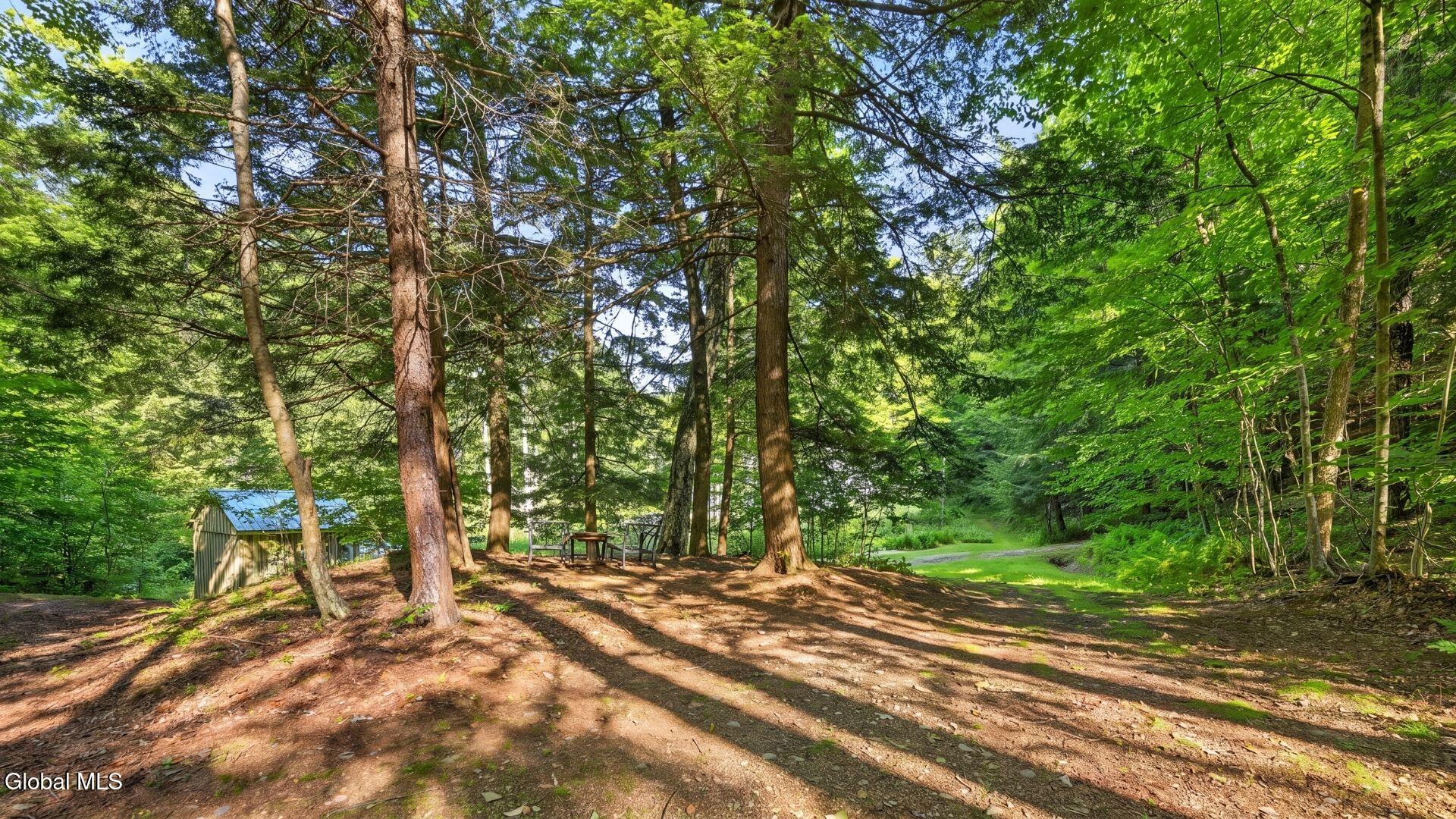 159 Seven Ponds Road Summit NY 12175