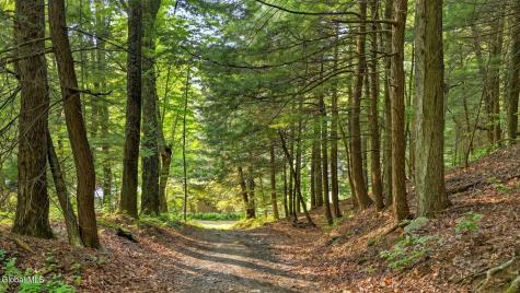 159 Seven Ponds Road Summit NY 12175
