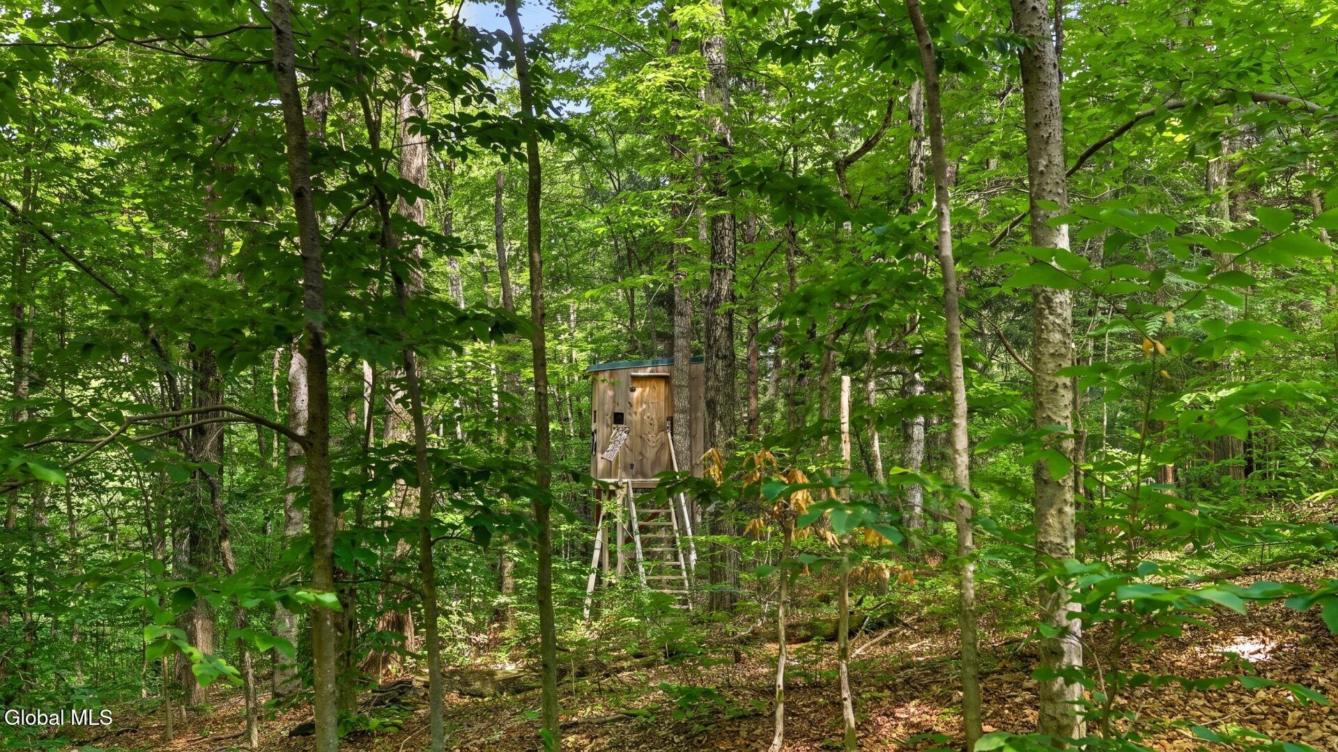 159 Seven Ponds Road Summit NY 12175