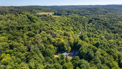 159 Seven Ponds Road Summit NY 12175