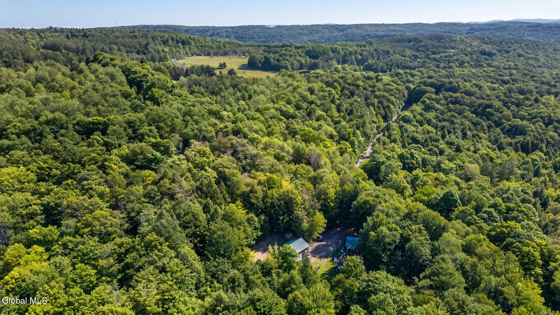 159 Seven Ponds Road Summit NY 12175